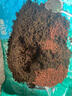 史丹利火山石颗粒红火山岩底砂天然多肉兰花专用养花红色铺面石 实拍图