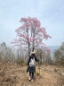 神火（SupFire）户外登山杖铝合金T柄超轻拐杖徒步健走爬山伸缩非折叠棍儿童手杖 实拍图