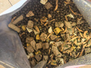 卫加全价猫粮5斤装 成猫幼猫主粮全阶段通用型天然粮2.5kg 实拍图