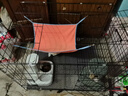 憨憨宠猫笼折叠猫笼子大号猫别墅加粗加密双层猫舍猫窝宠物猫咪用品家用 黑色 850双层 实拍图