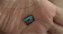 金士顿（Kingston）256GB TF（MicroSD）存储卡 无人机/运动相机 内存卡U3 V30 A2 4K 读速200MB/s兼容手机行车记录仪 实拍图