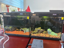 摩动（modong）纯钛内胆便携式电热水壶烧水杯电热水杯烧水壶650ml泡奶旅行商务出差养生杯加热杯 MD-DSB02B 实拍图