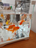 森森（SUNSUN）鱼缸过滤器壁挂式外置过滤泵水族箱过滤器HBL HBL-302 3W 实拍图