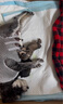 卫仕 犬卵磷脂220g+乳钙片约160片+螯合微量元素片约160片鱼油幼犬老年犬微量元素 实拍图