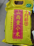 十月稻田 24年新米 山西黄小米 2.5kg 五谷杂粮 粗粮 早餐小米粥 真空5斤 实拍图