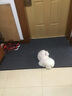 大江 入户地垫门口脚垫进户门门垫脚垫地毯防滑入户门地垫90x150cm 实拍图