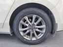 朝阳轮胎 汽车轮胎 205/60R16 92V C66 适配福克斯/马自达3/速腾/轩逸 实拍图