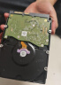 西部数据（WD） NAS机械硬盘 WD Red Plus 西数红盘 8TB 5640转 256MB SATA CMR垂直 网络存储 3.5英寸 WD80EFPX 实拍图