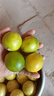 金桔柠檬百香果组合装新鲜水果泡水喝维c满满 20粒百香果＋4粒柠檬＋15粒青桔 实拍图