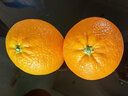 囍成双美国新奇士橙黑标3107脐橙大果sunkist进口橙子美橙水果整箱送礼 精品5斤【礼盒装】 实拍图
