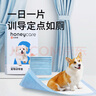 HONEYCARE好命家 好命天生宠物尿垫 训导防漏尿布 加厚厕所垫M码*3包 实拍图