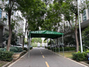 绿林（GREENER）活动扳手家用8寸套装工具活口扳手多功能大开口沾塑扳手活扳子 实拍图