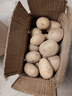 疯抢土豆新鲜现挖2025新土豆农家马铃薯黄皮黄心 黄心土豆小果 5斤(净重) 实拍图