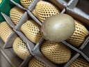 佳沛（zespri）新西兰  阳光金奇异果16粒礼盒经典果单果约 77-103g 水果 猕猴桃 实拍图