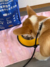 LEGENDSANDY蓝氏狗粮真鲜猎兔中小型犬幼犬成犬生骨肉冻干鲜肉犬粮1.5kg3斤 实拍图