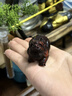 迎胤国印度小叶紫檀貔貅手把件文玩小摆件红木招财貔貅随身盘玩皮丘挂件 实拍图