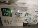 蒙牛精选牧场敕勒川纯牛奶250ml*10盒 肖战推荐礼盒 实拍图