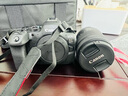 佳能（Canon）EOS R6 Mark II R62 全画幅微单相机 R6二代 4K Vlog视频直播 RF24-105mm STM套机 旅行畅玩套装 晒单实拍图