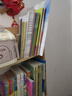 斗半匠二年级上册同步作文人教版满分范文小学生作文书小学语文同步作文二年级上册写作素材积累思维导图满分作文大全 实拍图