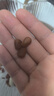三只松鼠东北松子500g/袋 手剥开口 每日坚果炒货休闲零食地方特产 实拍图