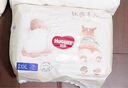 好奇（Huggies）软萌星人柯基裤拉拉裤XXL26片(15kg以上)加大号婴儿尿不湿 实拍图