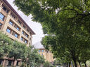 美的（Midea）LED便携充电小台灯书桌学习阅读灯学生学习宿舍卧室床头灯家用 实拍图