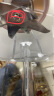 BARBOSA德国品牌BARBOSA豆浆机商用早餐店用现磨无渣免过滤大功率大容量破壁机料理机多功能打浆机全自动 6升大容量 晒单实拍图