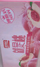 盼盼水蜜桃冰红茶饮料250ml瓶装 夏季清凉果汁多口味聚会饮品整箱 网红水蜜桃-经济装24盒 实拍图