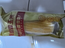 十月稻田 黄糯香玉米 3.52斤(220g*8根) 东北黏甜玉米棒 早餐 杂粮礼盒 实拍图