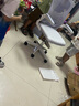 汤能优品电脑椅家用人体工学椅子办公椅靠背学生学习椅写字书房电竞游戏椅 【头枕款】白框灰网+乳胶+头枕 实拍图