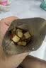碱水面包丁茶颜同款焦糖味饼干网红零食非油炸小吃休闲食品 【1袋】碱水面包丁20g/袋 实拍图