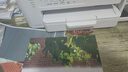 兄弟（brother）DCP-T436W彩色喷墨无线手机wifi打印机复印扫描一体机家用小型学生作业照片A4墨仓打印机 T436W无线远程小程序 亲子价更优，官方标配 实拍图
