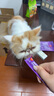 LEGENDSANDY蓝氏猫零食全价主食猫条成猫幼猫鲜肉猫湿粮罐头混合口味 16g*12 实拍图