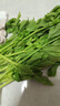 芹菜 约300g 实拍图