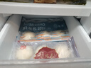 冶春食品 萝卜丝包300g*3包  18只  扬州包子 生鲜 面点 家庭装素包面点 实拍图