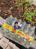 泰象【曾舜晞同款】进口 Chang泰象牌苏打汽泡水325ml*24瓶 整箱装 实拍图