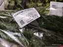 长黄瓜约600g 实拍图