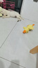 果粒之星纯种拉布拉多犬活体宠物狗拉布拉多幼犬导盲犬寻回犬大型犬 宠物级 实拍图