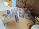 麦富迪猫粮 藻趣儿12.5kg 成猫（鸡肉螺旋藻） 实拍图