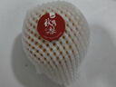 京鲜生 长城羊脂秋月梨 正宗莱阳 净重5斤 6-8粒单果300g+ 水果礼盒 实拍图