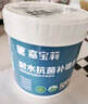 嘉宝莉（CARPOLY）补墙膏墙面修补膏乳胶漆白墙面修复墙皮脱落修补膏去污修复腻子粉 实拍图