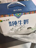 小西牛纯牛奶小方砖全脂营养儿童早餐奶200ml*20盒整箱 实拍图