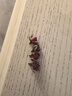 福东海 金边玫瑰花130g（花中精品）云南花茶干花蕾花草茶养生花茶叶 实拍图
