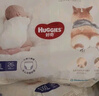好奇（Huggies）软萌星人柯基裤拉拉裤L32片(9-14kg)大号婴儿尿不湿超薄拉拉裤 实拍图