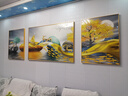 Sixpoetry 客厅装饰画现代简约沙发背景墙壁画轻奢三联晶瓷画大气高档挂画 福禄双收（铝合金外框） 晶瓷画左右60*80+中间120*80亮面 实拍图