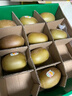 佳沛（zespri）新西兰 阳光金奇异果12粒礼盒特大果单果约122-146g 猕猴桃 水果 实拍图