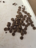 素力高（SolidGold）进口高蛋白金装金素鸡长肉营养成猫幼猫猫粮12磅/5.44kg 实拍图