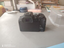 佳能r10 微单相机 轻量小型 APS-C画幅 eos r10 高速连拍 踏青 打鸟vlog数码照相机 R10单机身拆+RF50 1.8【人像小痰盂】 官方标配【不含内存卡相机包等必要配件 推荐选套餐 实拍图
