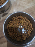 伟嘉猫粮成猫全价猫粮亮毛均衡营养10kg海洋鱼味夹心粮【原料透明】 实拍图