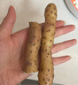 张宝山河南焦作垆土铁棍山药净重5斤 怀山药特产（长约50cm）源头直发 实拍图